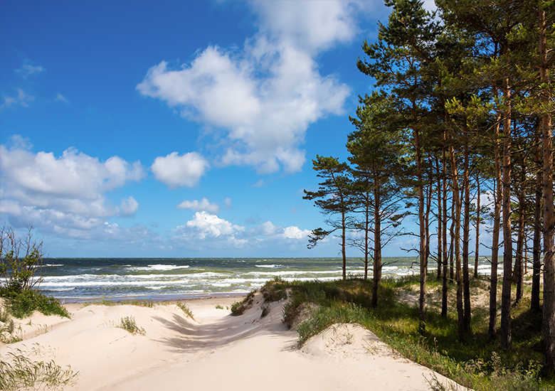 Domki letniskowe na wynajem nad morzem Chłapowo - Władysławowo